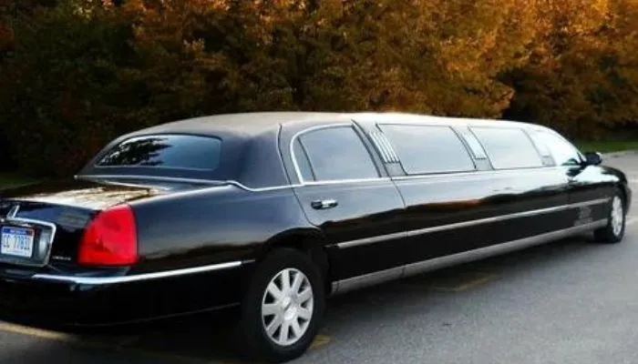 birthday party limousine